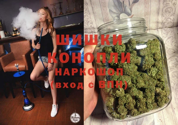 шишки Волосово