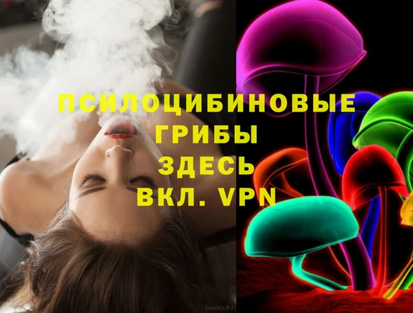 шишки Волосово