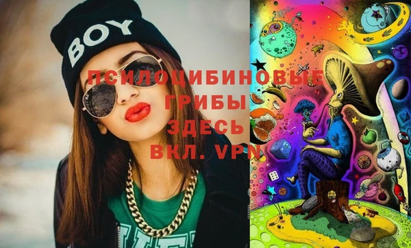 шишки Волосово